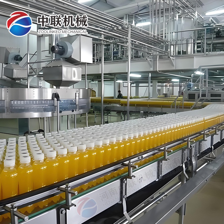 整套菇娘果饮料生产线设备
