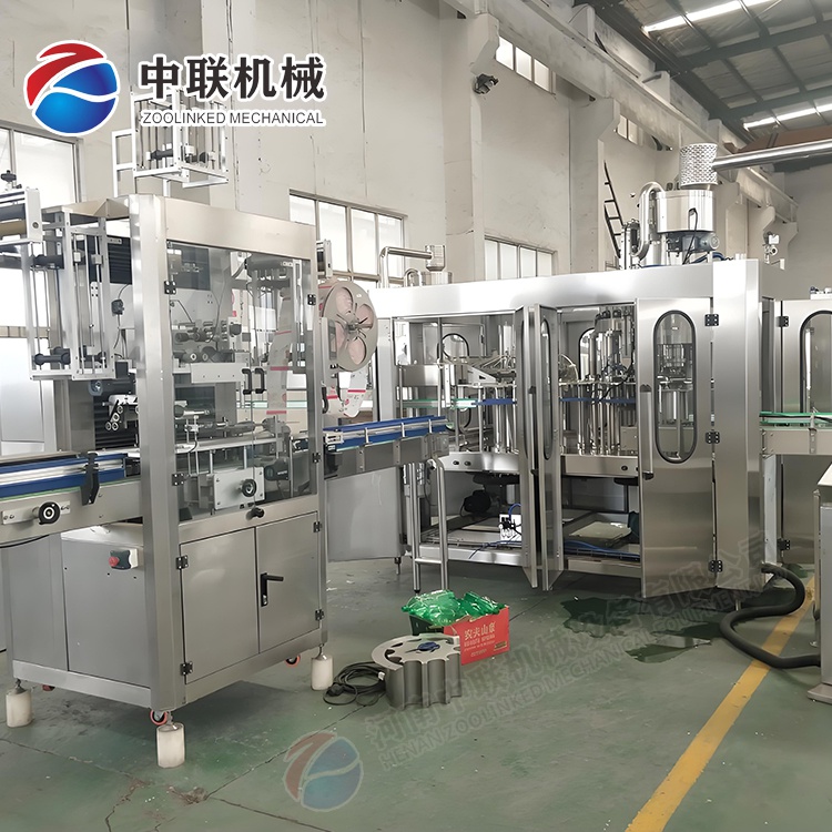 整套黑加仑饮料生产线设备