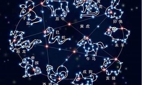 十二星座干啥啥不行干什么第一名_十二星座