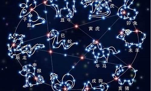 十二星座是什么动物脸型_十二星座是什么动物