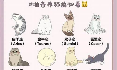 十二星座适合养猫还是养狗_十二星座适合养的猫