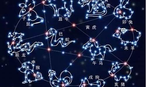 十二星座准确率有多少_十二星座准吗