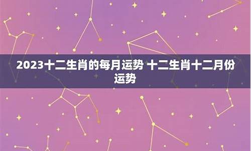 十二星座今年每月运势_十二星座的今年运势